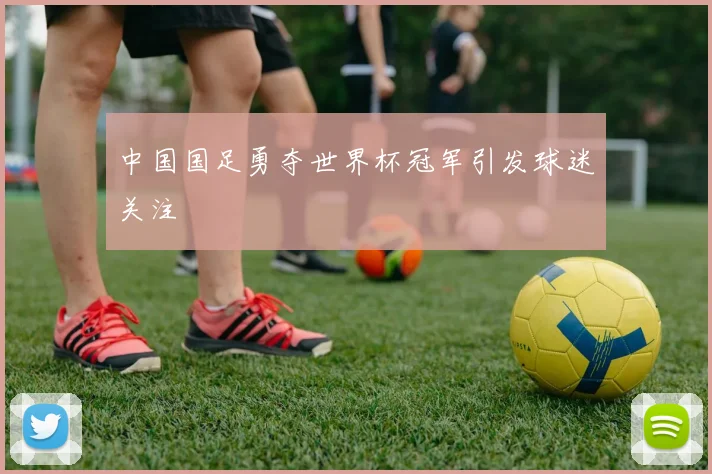 中国国足勇夺世界杯冠军引发球迷关注