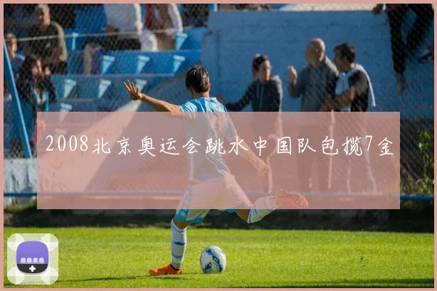 2008北京奥运会跳水中国队包揽7金