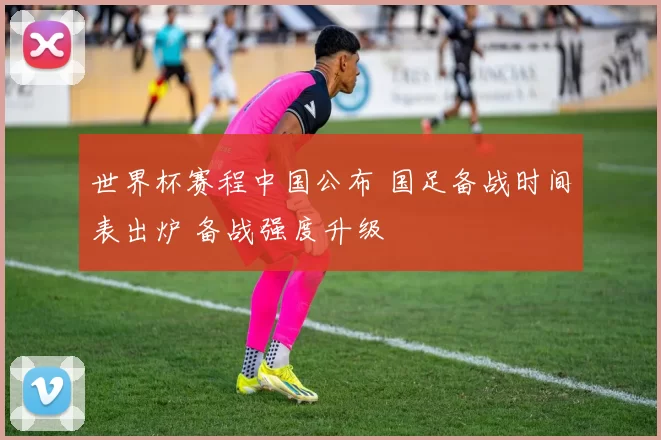 世界杯赛程中国公布 国足备战时间表出炉 备战强度升级