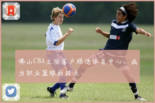 佛山CBA主场落户顺德体育中心，成为职业篮球新据点