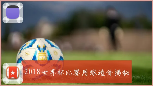 2018世界杯比赛用球造价揭秘