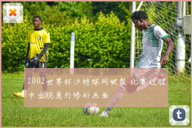 2002世界杯沙特球网破裂 比赛过程中出现意外修补画面