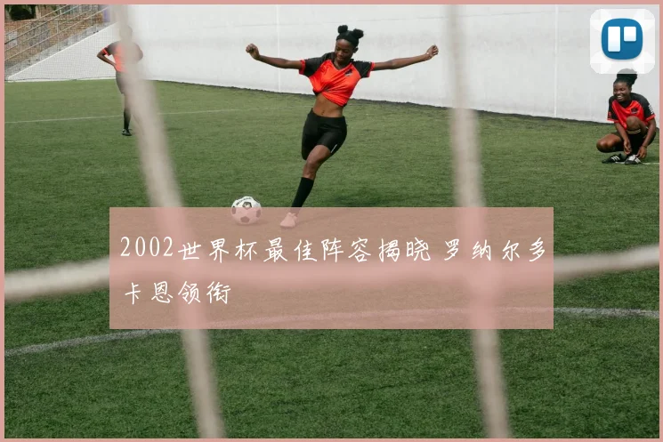 2002世界杯最佳阵容揭晓 罗纳尔多卡恩领衔