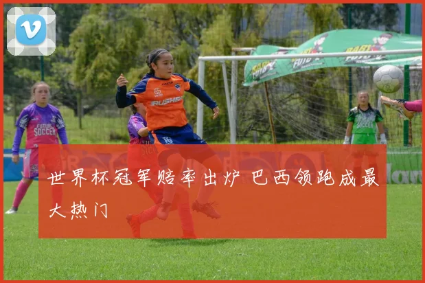世界杯冠军赔率出炉 巴西领跑成最大热门