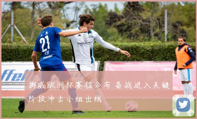 挪威欧洲杯赛程公布 备战进入关键阶段冲击小组出线