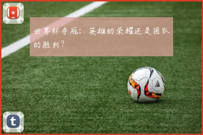 世界杯夺冠:英雄的荣耀还是团队的胜利?