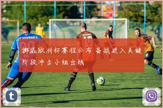 挪威欧洲杯赛程公布 备战进入关键阶段冲击小组出线